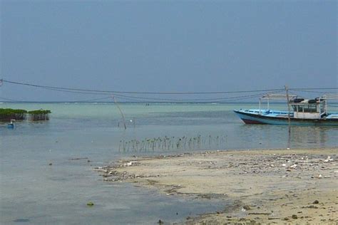 BBC NEWS | In Pictures | In pictures: Indonesia's island voting