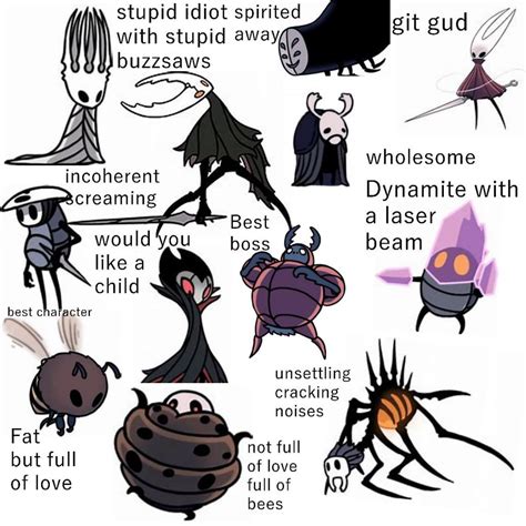 Completely accurate hollow knight characters : HollowKnightMemes