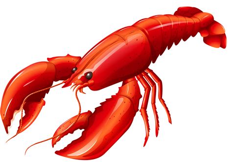 Crawfish clipart animated gif, Crawfish animated gif Transparent FREE ...