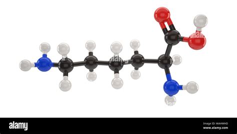 Lysine molecule structure 3d illustration with clipping path Stock ...