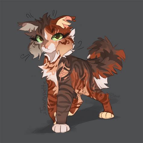 Tawnypelt by GrayPillow on DeviantArt | Warrior cats fan art, Warrior ...