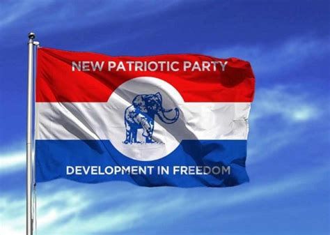 NPP parliamentary primaries: 17 Aspirants disqualified from Jan. 27 ...