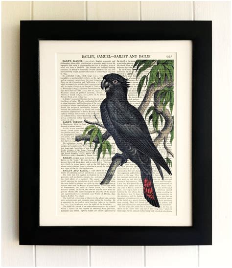 ART PRINT on Old Antique Book Page Vintage Parrot Bird - Etsy