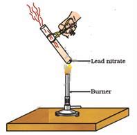 A red brown gas is released on heating lead nitrate due to