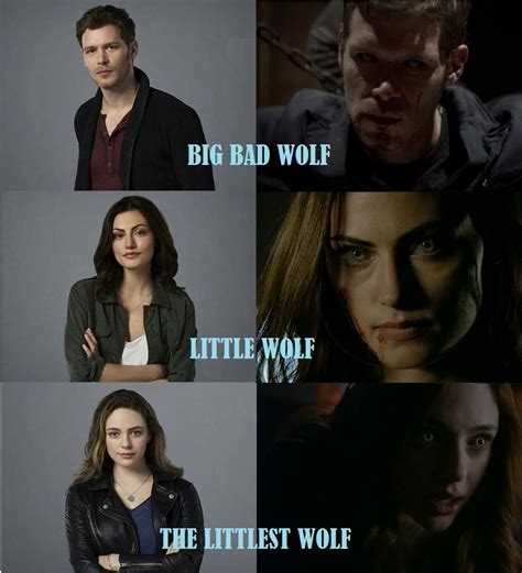 Klaus Hayley Hope wolves | Vampire diaries, Vampire diaries seasons ...