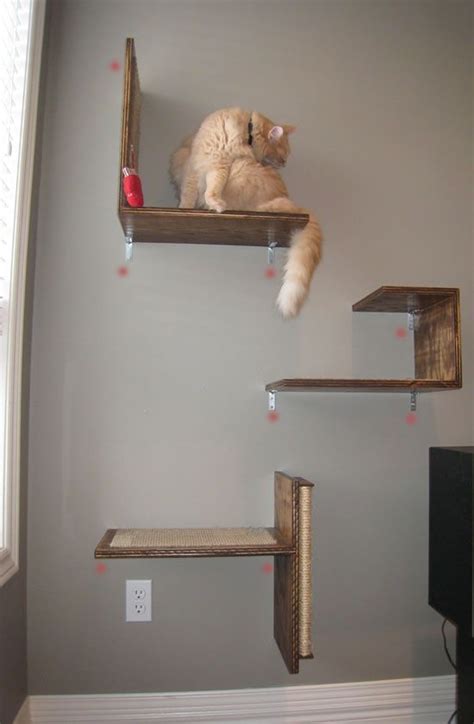 New house | Cat climbing wall, Cat diy, Cat furniture