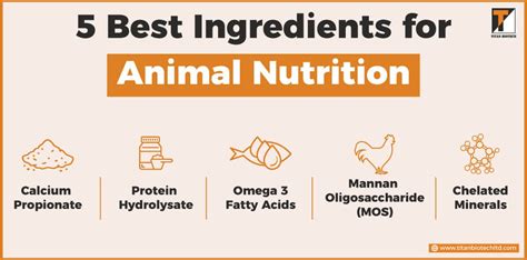 5 Best Ingredients for Animal Nutrition | Titan Biotech Ltd.