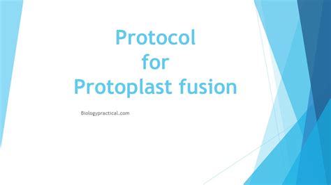 Protocol for Protoplast fusion - Online Biology Notes