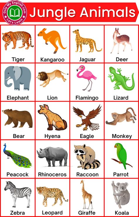 30+ Jungle Animals List with Pictures » Onlymyenglish.com | Preschool ...