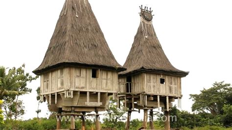 East Timor House on Stilts - YouTube