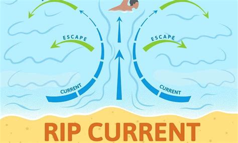 The Differences Between Rip Currents, Undertows, and Rip Tides • The ...