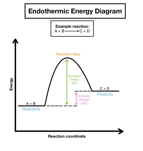 Topic 9 - Kinetics & Equilibrium Flashcards | Quizlet