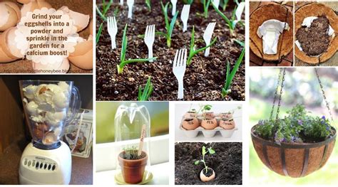 12 Innovative Gardening Ideas You've Never Thought About - Top Dreamer