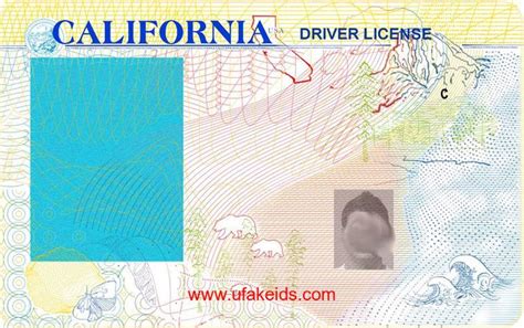 Image result for california drivers license template | Ca drivers ...