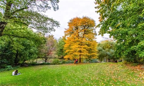 Peak Fall Foliage Map | Central Park Conservancy