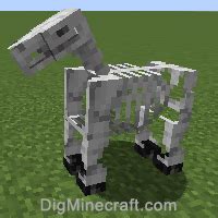 Skeleton Horse in Minecraft