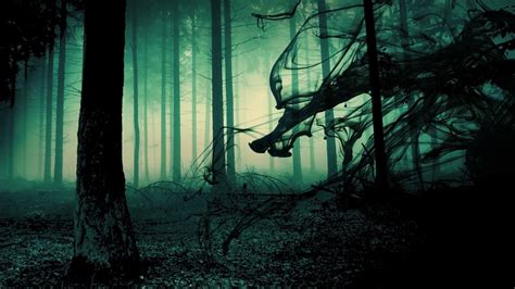 Scary Forest Wallpaper - WallpaperSafari