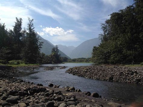 Waipio Valley and Waterfalls Tour Waipio Valley River – Wasabi Tours Hawaii