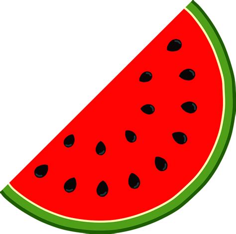 Download Watermelon, Melon, Fruit. Royalty-Free Vector Graphic - Pixabay