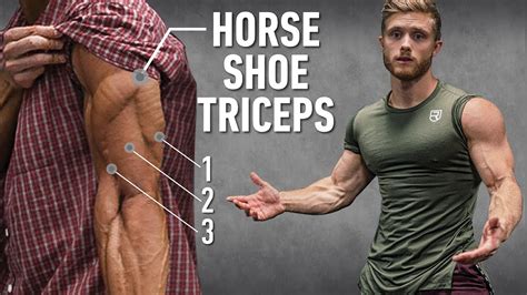 How To Grow Horseshoe Triceps By Changing Arm Positions (Technique ...