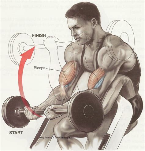 Biceps Workout Tips-Best Workout for Biceps | Bodybuilding and Fitness Zone