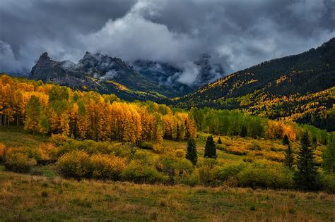 HD wallpaper: autumn, forest, mountains, clouds, Colorado, USA, rainy ...