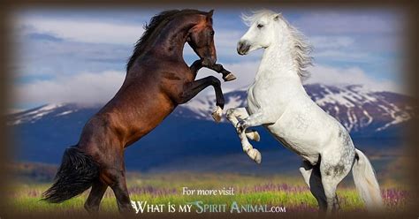 Horse Symbolism & Meaning | Spirit, Totem, & Power Animal