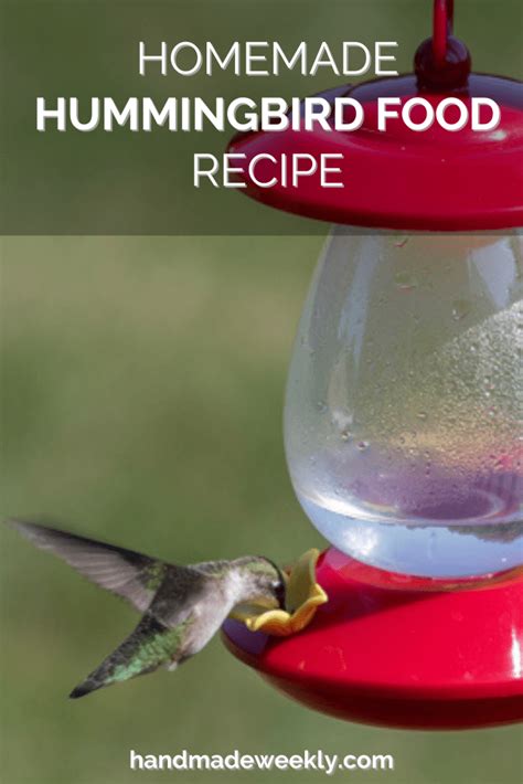 Homemade Hummingbird Food Recipe - Handmade Weekly