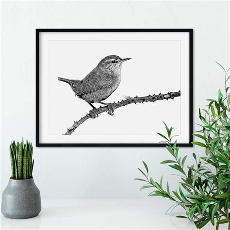 Original Wren Pencil Drawing Hand Drawn Bird Art - Etsy