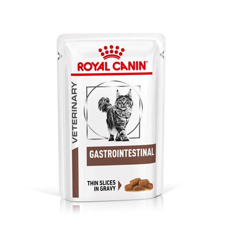 Buy Royal Canin Veterinary Gastro Intestinal Wet Cat Food Pouches ...