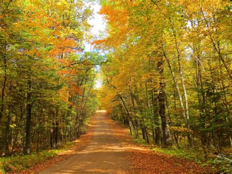 14 Best Places To Experience Fall In Minnesota - Midwest Explored