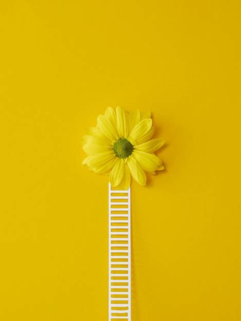 Page 2 | Yellow Flower Images - Free Download on Freepik