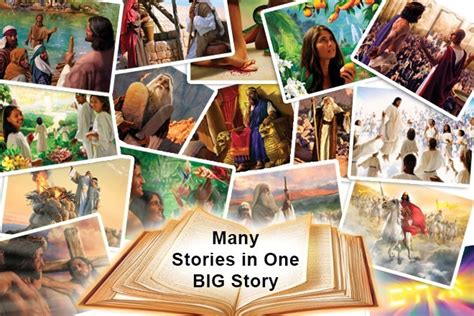 How Many Stories in the Bible? | Good Soil