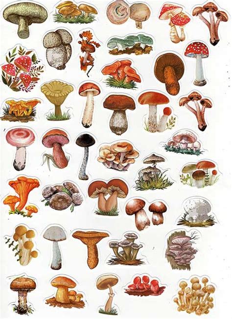 Decals & Skins Super Sick And Awesome Mushroom Stickers 100% Recycled ...