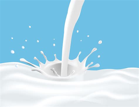 Milk Splash Vector Art, Icons, and Graphics for Free Download