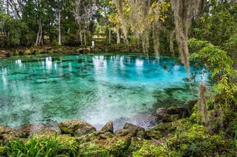 How to Visit Three Sisters Springs Crystal River, Florida