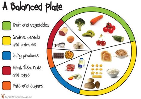 7 best images about BALANCED DIET POSTERS on Pinterest | EYFS, Medical ...