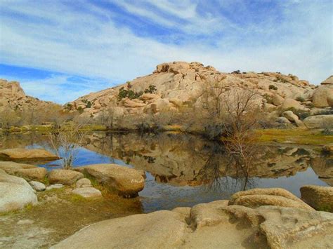 RV Camping in Joshua Tree National Park - Your RV Lifestyle