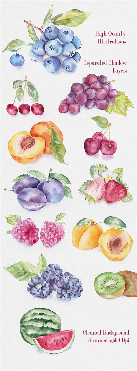 Fruit Watercolor Illustrations, an Illustration by emine ...