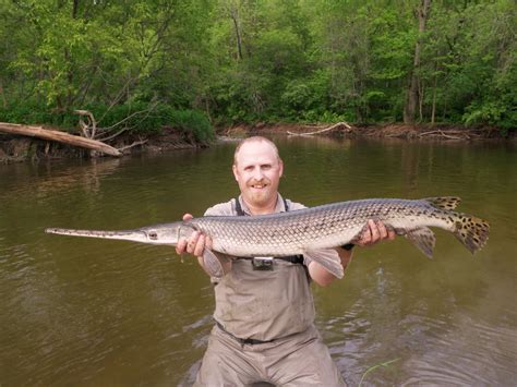 The Adventures and Musing of Drew Price, Angler: Gar-gantuan!