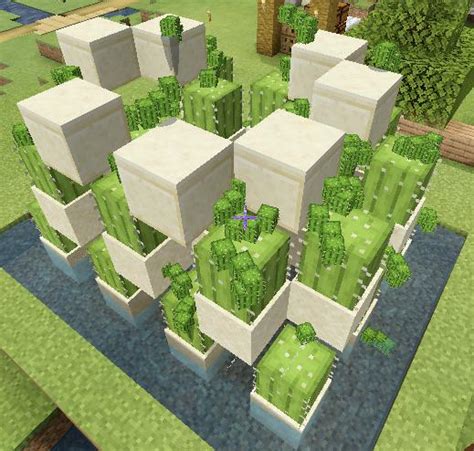 How To Build An Automatic Cactus Farm In Minecraft / Here are 2 ...