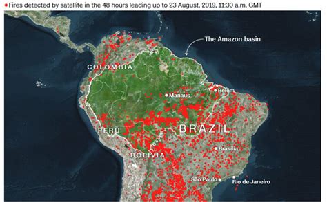 Kebakaran Hutan Amazon Jadi Sorotan Dunia - Indonesia Environment ...