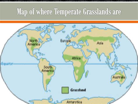 Exploring The Beautiful World Map Grasslands In 2023 - Map of Counties ...