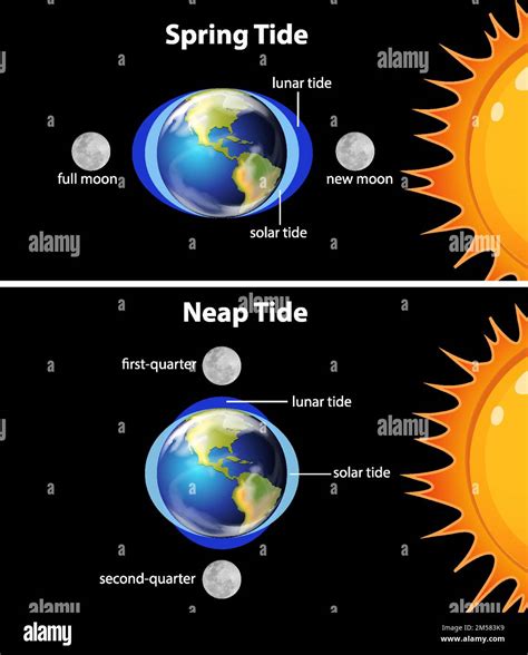 Diagram showing earth tides illustration Stock Vector Image & Art - Alamy