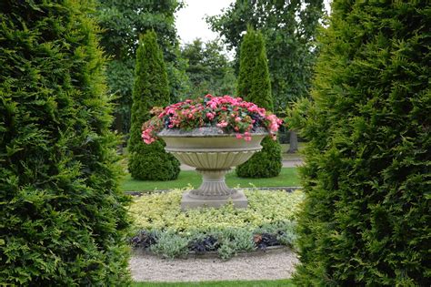 Regents Park Rose Garden London - I.A.