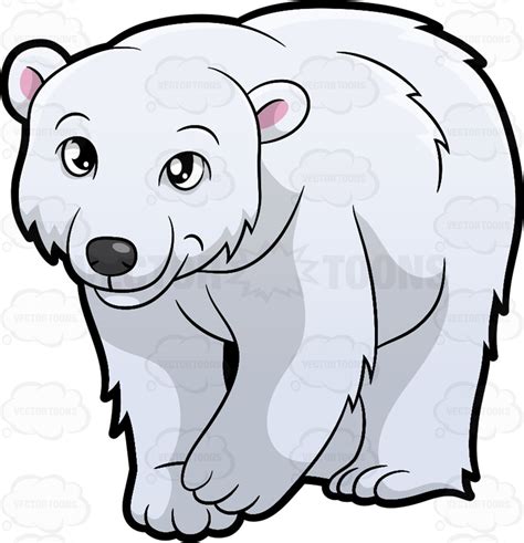 Polar Bear Clipart | Free download on ClipArtMag