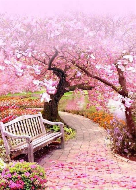 Background Taman Bunga Sakura Hd - 100 000 Foto Bunga Sakura Terbaik ...