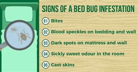 The Ultimate Guide to Bed Bugs Prevention in Singapore