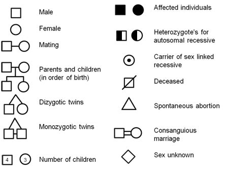 Genetic Pedigree Symbols