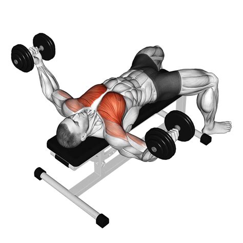 9 Best Dumbbell Push Exercises (with Pictures!) - Inspire US